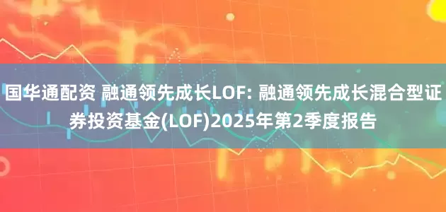 国华通配资 融通领先成长LOF: 融通领先成长混合型证券投资基金(LOF)2025年第2季度报告