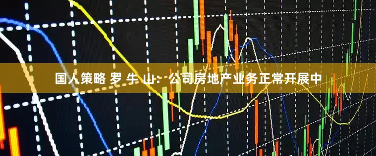 国人策略 罗 牛 山：公司房地产业务正常开展中