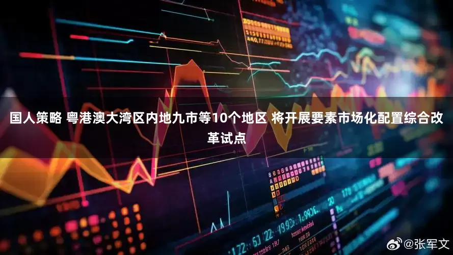 国人策略 粤港澳大湾区内地九市等10个地区 将开展要素市场化配置综合改革试点